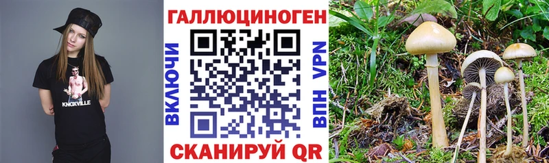 Псилоцибиновые грибы GOLDEN TEACHER  закладки  дарк нет наркотические препараты  Златоуст  блэк спрут tor 