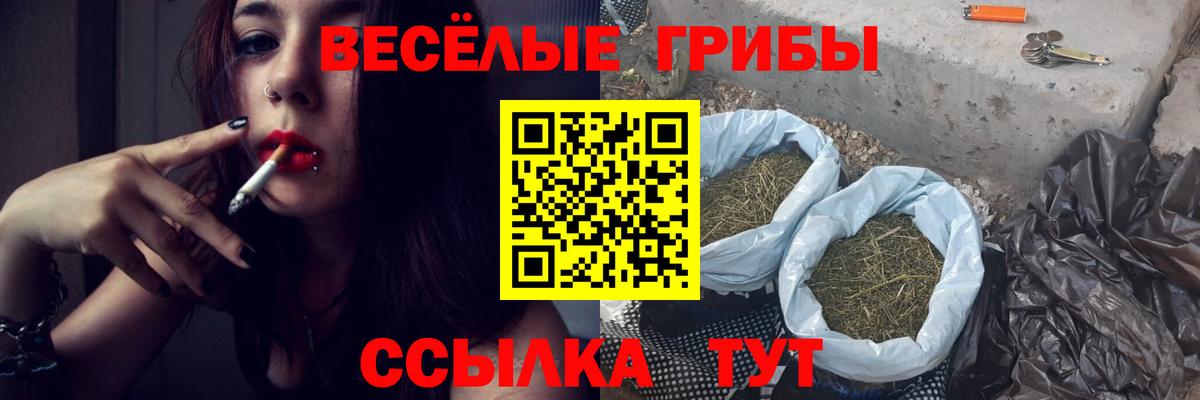 Псилоцибиновые грибы Psilocybine cubensis Златоуст